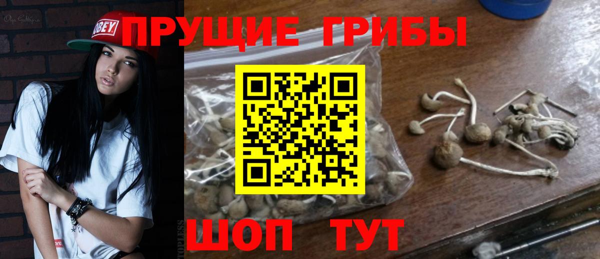 Петропавловск-Камчатский  магазин    Псилоцибиновые грибы Psilocybe  Вход с VPN  Псилоцибиновые грибы Cubensis 